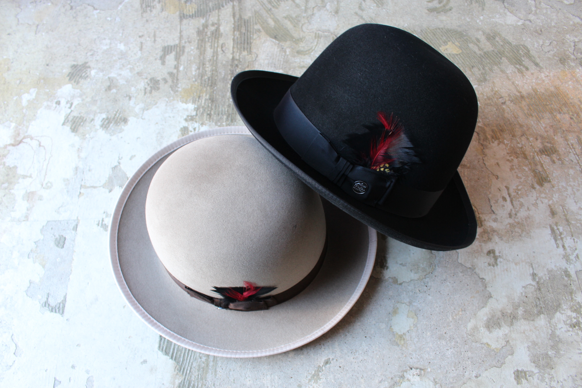 STETSON PREMIER WHIPPET